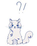 Surprised kitty