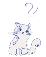 Surprised kitty
